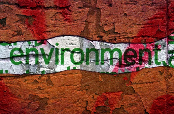 Environment text on grunge background — Stock Photo, Image