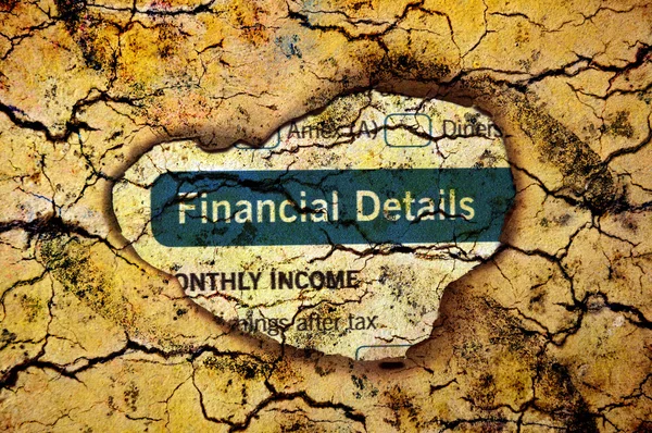 Financial details — Stock Photo, Image