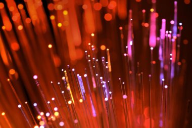 Fiber optik
