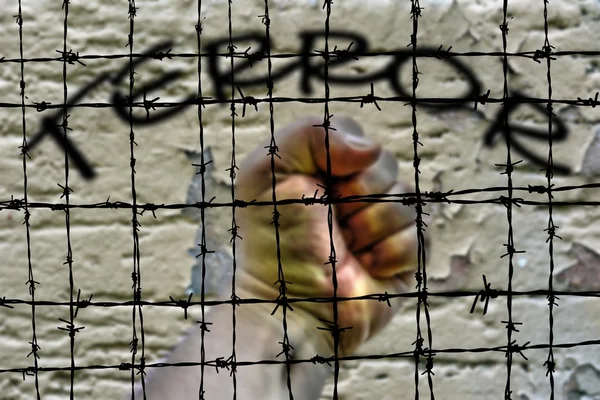 Terror and Barbwire concept — Stock Photo, Image