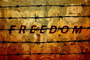 özgürlük 