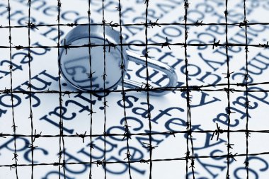 Web güvenliği kavramı