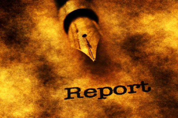 Report and pen — Stock Photo, Image