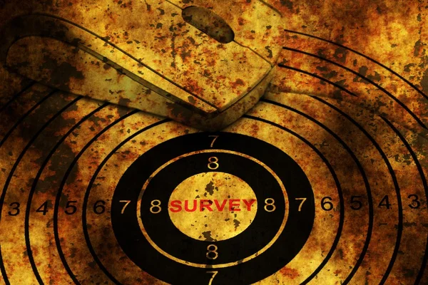 Souris d'ordinateur sur grunge web survey target — Photo