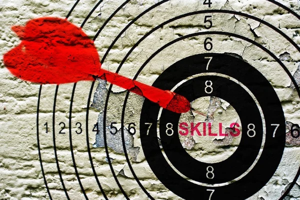 Skills target on grunge background — Stock Photo, Image