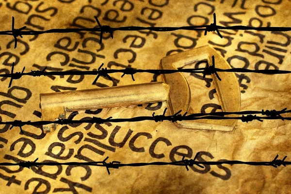 Success and key concept against barbwire — Stock Photo, Image