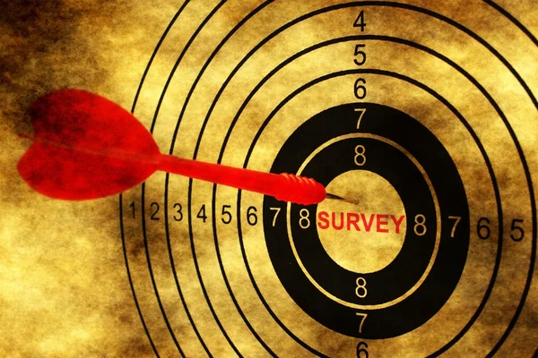 Survey target on grunge background — Stock Photo, Image