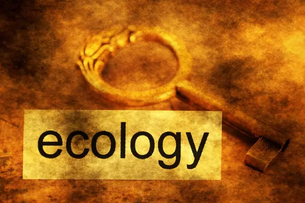 Ecology tag and old key — Stock Photo, Image