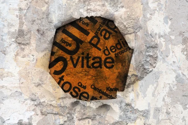 Vitae text on hole — Stock Photo, Image
