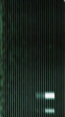 Gerçek Glitch Statik TV Gürültüsü Geçişi