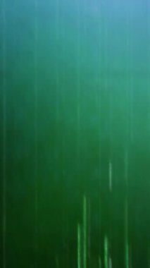 Gerçek Glitch Statik TV Gürültüsü Geçişi