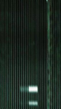 Gerçek Glitch Statik TV Gürültüsü Dikey Geçiş videosu