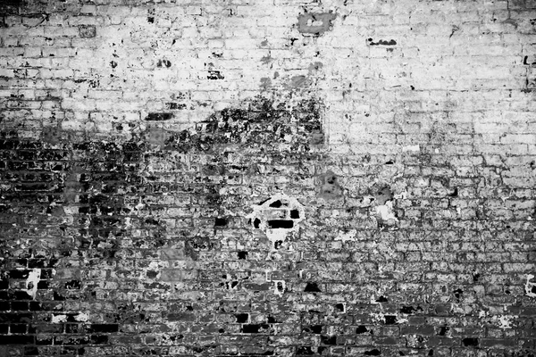 Grunge brick wall background — Stock Photo, Image