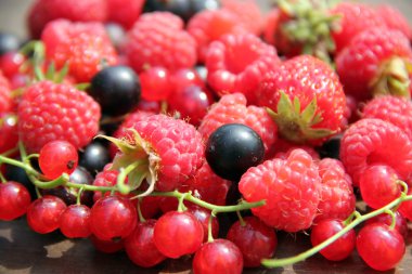 Çilek arka plan. Çilek, kuş üzümü, ahududu