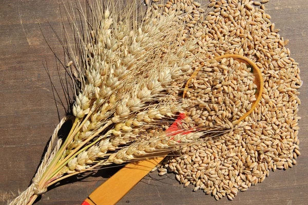 Ears of wheat on wooden stalnye — Stock Photo, Image