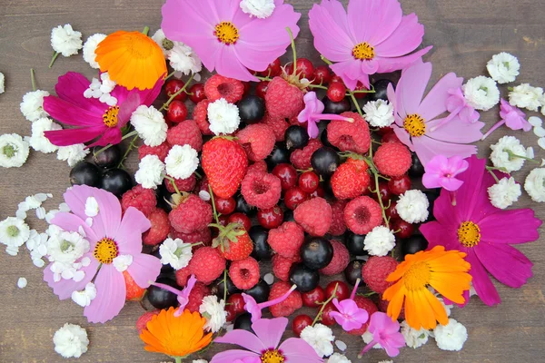 Lato na tle. Dojrzałe owoce i kwiaty — Zdjęcie stockowe