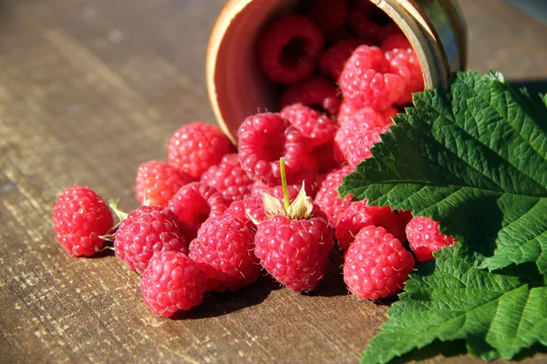 Reife süße Himbeeren in Schüssel auf Holztisch — Stockfoto