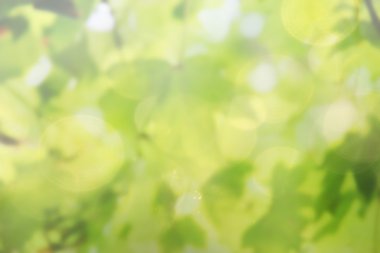 Doğal arka plan soyut