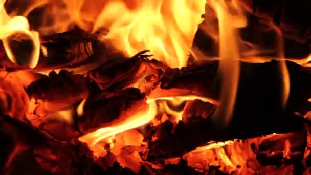 Camino caldo pieno di legna e fuoco con il suono — Video Stock