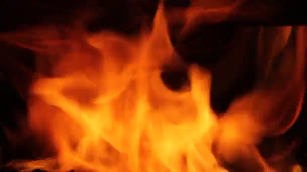 Fiamma di fuoco da vicino — Video Stock