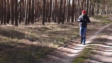 bir çam ormanı içinde seyahat adam