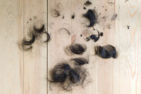 ahşap zemin üzerinde saç kesilmiş