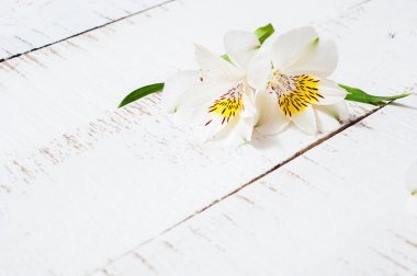 ahşap bir masa üzerinde yeşil yaprakları ile beyaz çiçekler