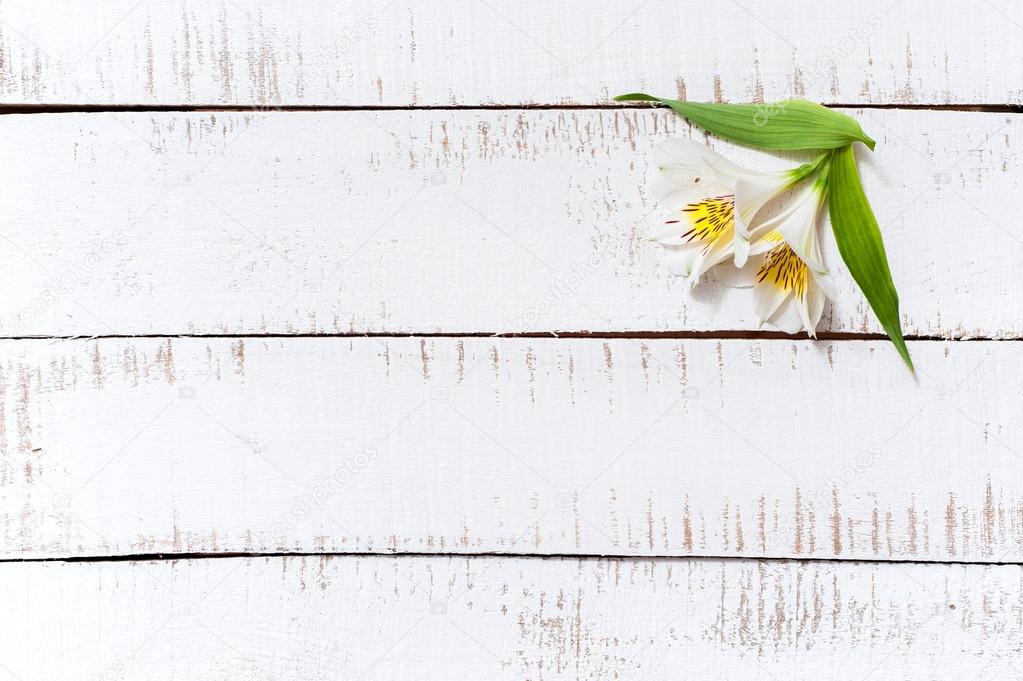 Fleurs Blanches Avec Des Pétales Verts Sur Une Table En Bois