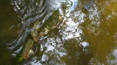 dağ dere içinde su güneş ışığı yansıması ile