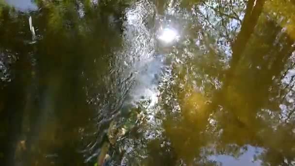 Ορεινό ρέμα με αντανάκλαση στο φως του ήλιου του νερού — Αρχείο Βίντεο