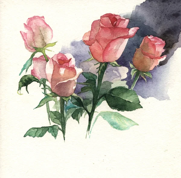 Watercolor illustration of roses — Stock Photo, Image