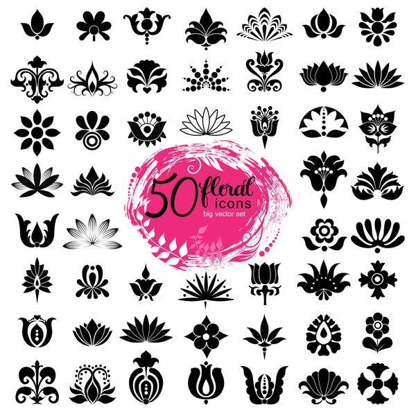 Set of fifty floral icons — Stock Vector