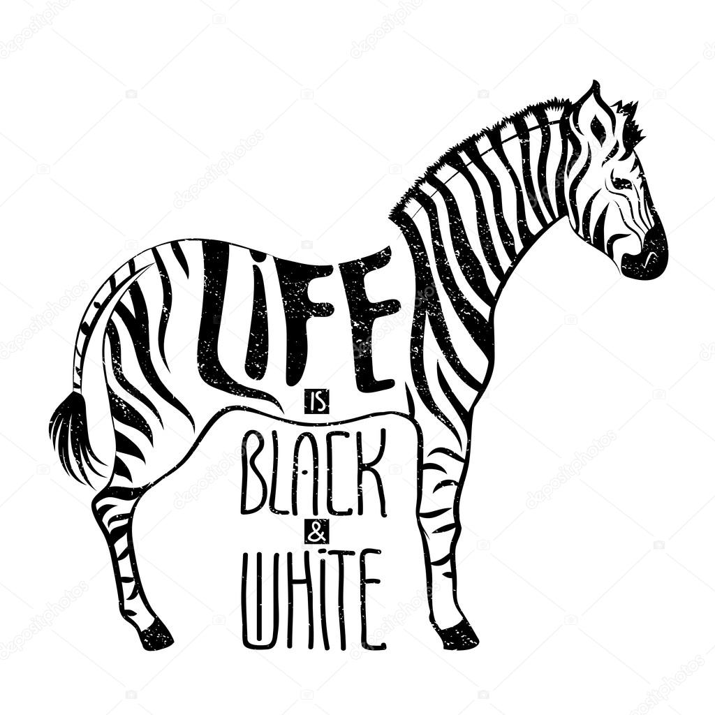 Concetto di zebra in bianco e nero di disegno — Vettoriale Stock