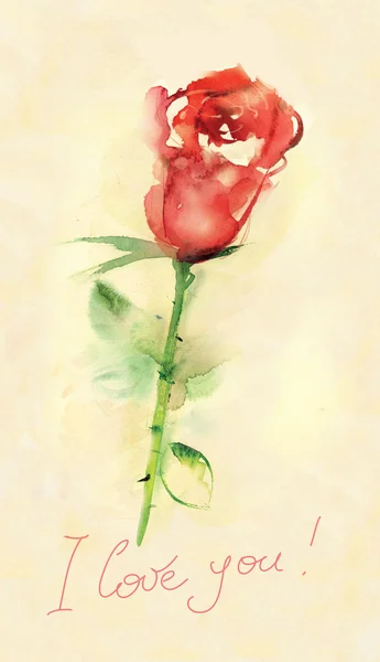 Single red rose — Stock Photo, Image