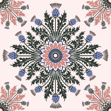 Arka plan ile pembe renk üzerinde Deve dikeni