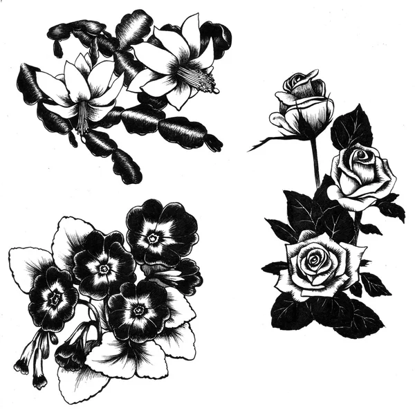 Set of hand drawn flowers — Stock Photo, Image