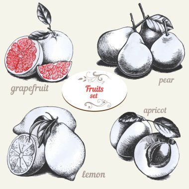 Çizimler meyve kümesi