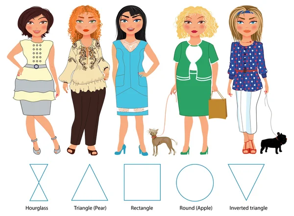 Types of female figures — Stock Vector