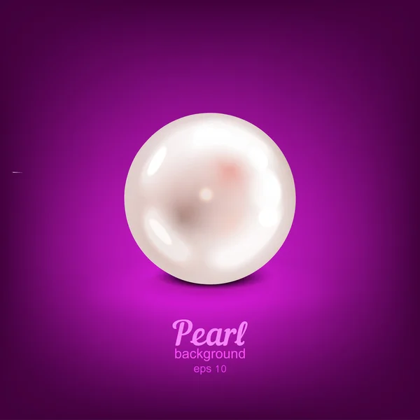 現実的な美しい真珠 — ストックベクタ