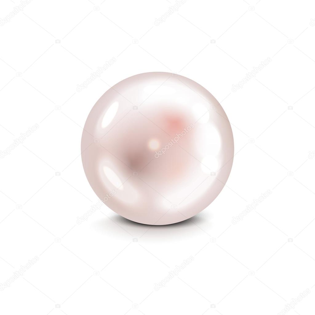 Realistic Beautiful pearl