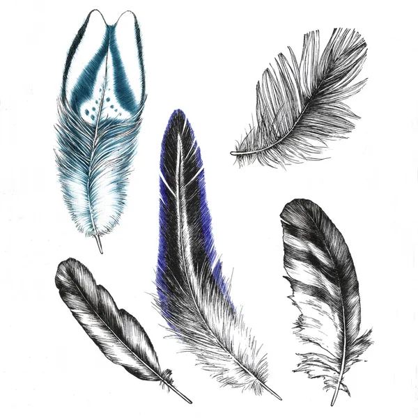 Conjunto de dibujos plumas — Foto de Stock