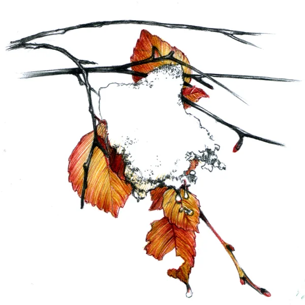 Ręcznie rysowane liści ze śniegu — Zdjęcie stockowe