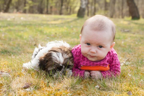 Cãozinho bonito e bebê no parque — Fotografia de Stock