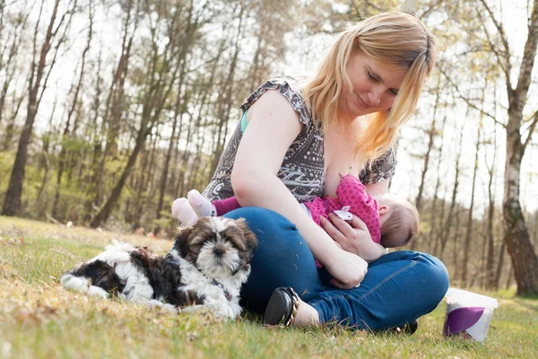 Sweet puppy while mother is feeding her daughter — Stock Photo, Image