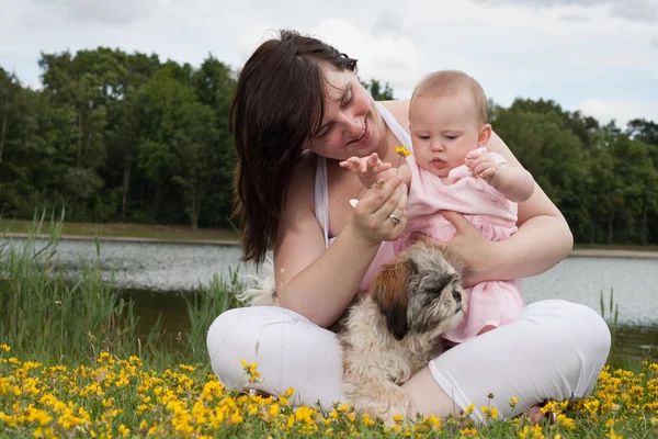 Qute little family — Stock Photo, Image