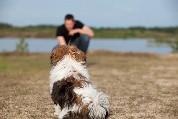 Puppy krijgt gehoorzaamheid opleiding — Stockfoto