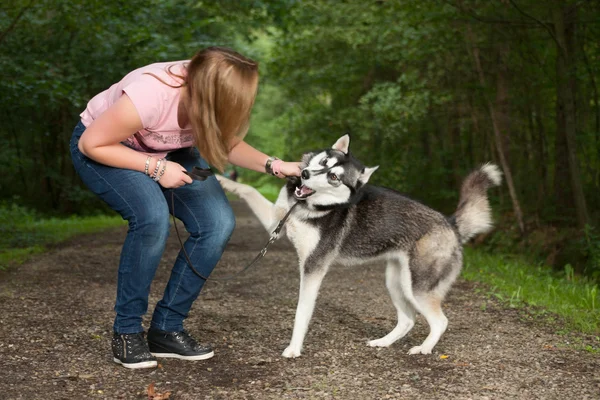 Playing with her dog — Stock Photo, Image