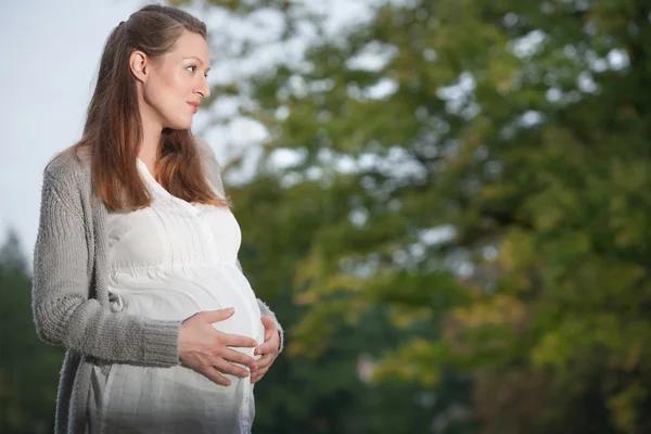 Gravid i naturen — Stockfoto