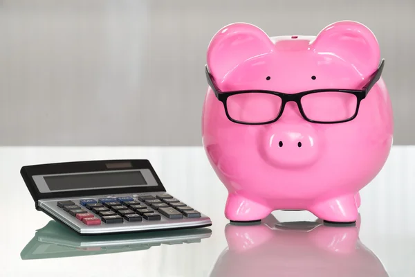 Piggy-bank com óculos — Fotografia de Stock