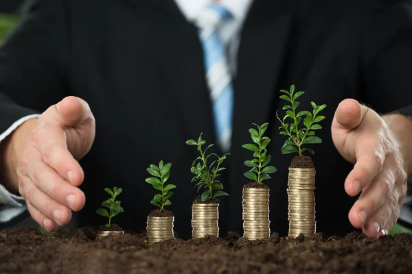 Pequeñas plantas en monedas apiladas — Foto de Stock